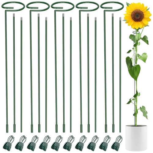 Unves 36 Inch Plant Stakes Tall 5 Set Plant Support Stakes for Indoor or Outdoor Three Sizes(12 or 24 or 36 Inch) Garden Plants Cages Support Rings for Flowers Tomato Amaryllis Lily Peony Rose
