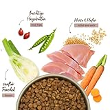 Bosch HPC MENUE Junior Tierwohl-Pute + Hafer & Hirse| Hundetrockenfutter zur Aufzucht mittelgroßer Rassen | 1 x 2,4 kg