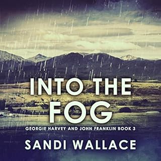 Into the Fog Audiolibro Por Sandi Wallace arte de portada