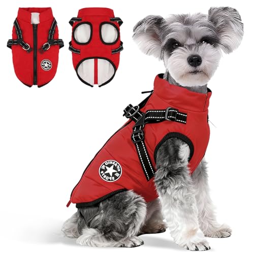 Anzentakai  ~y2025N~̓ozy ȕR[g n[lXt wJ   Ԕ g ybg L   ~ EȒP N ̕ xXg h h  WPbg [hO ^ ^ ^