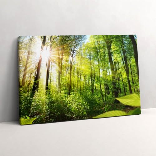 Tableau photo sur toile de haute finition forêt ensoleillée 60x40cm