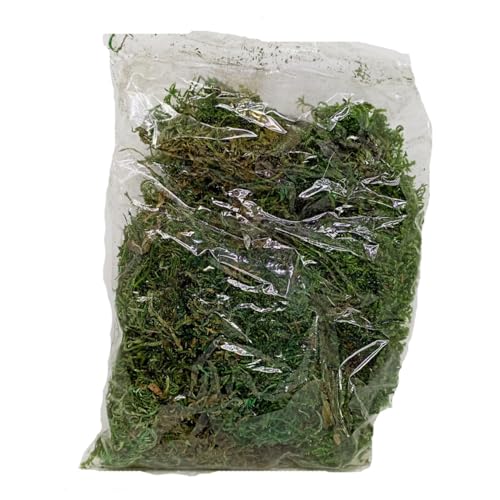 Musgo de presépio | 0,5 kg | Bolsa grande | Musgo de Natal