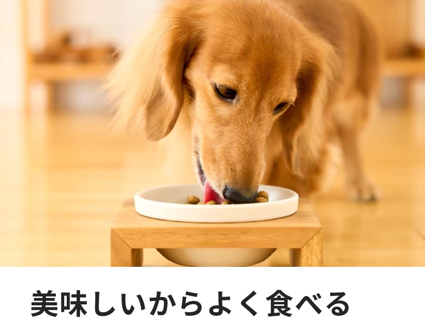 Amazon.co.jp: ドクターズケア 犬用ストマックケア 低脂肪 800g (400g