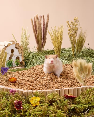 Image of BUCATSTATE 60PCS Natural Hamster Bedding