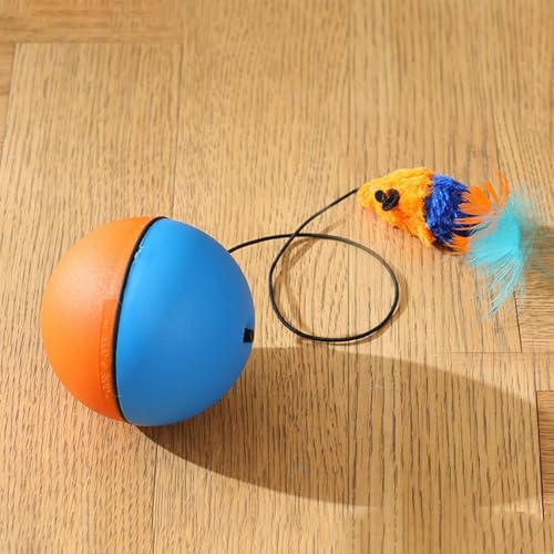 budiniao interaktives Katzenspielzeug mit Bällen, Türhänger, elektrische Bälle- ideal für Wohnungskatzen. Aktivitätsspielzeug, Fangspielzeug, weiches-7