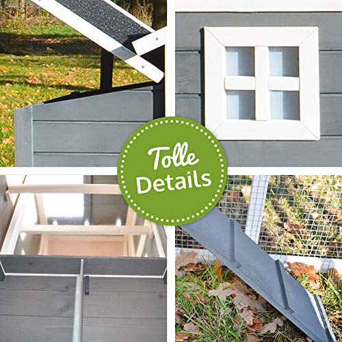 Zooprinz moderner Hühnerstall mit Nistkasten - aus massivem Vollholz und stabilem Draht - Hühnerhaus schnell zu reinigen… – Bild 4