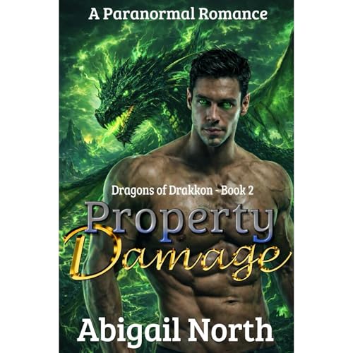Property Damage Audiobook By Abigail North cover art