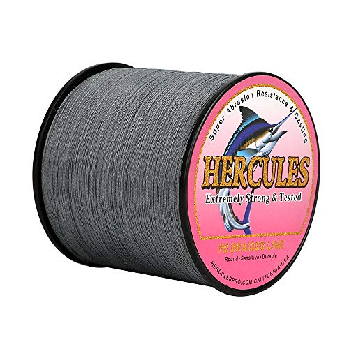 ヘラクレス(HERCULES) PEライン 釣り糸 8本編み 5号 100M 15色-(グレー)遠投 釣りライン 高強度 PE編組 釣糸 高感度 高比重 魚釣りライン 充実なタイプ 2枚目