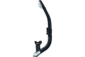 Mares Ergo Dry Snorkel