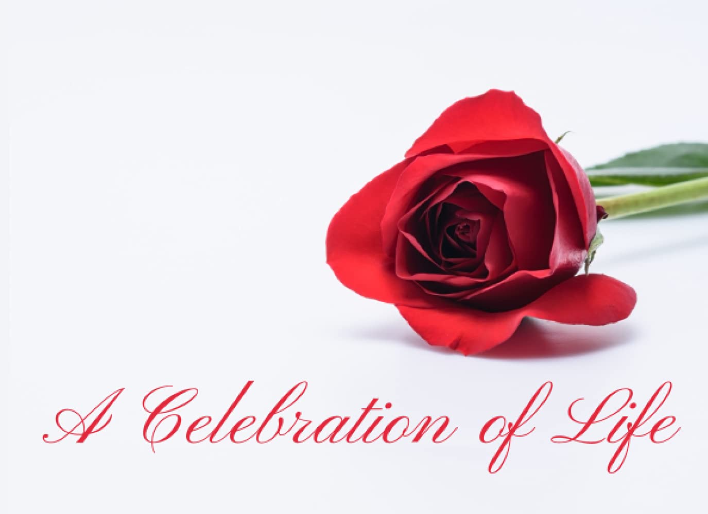 A Celebration of Life: Funeral Guest Books Celebration of Life Guest Books, Memorial Service Guest Book Sign for Funerals | Guest Book for Funeral, ... Book Memory Book for Funeral Guest Registry