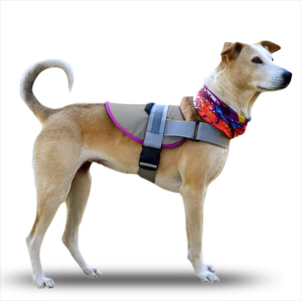 Kurgo Long Haul Joring Canicross Harness, Weight Pull Dog Harness For