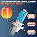 LECCIBUB Headlight Bulbs Compatible With Honda Civic 1992-2003, 9003 High Low Beam Headlights Halogen Light Bulb, Super Bright 6000K White, Plug and Play, Pack of 2