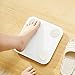 Wewoo Pèse Personne pour Xiaomi Yunmai Mini 2 Intelligent Bluetooth Digital Body Scale santé analyseur de santé, Android/iOS