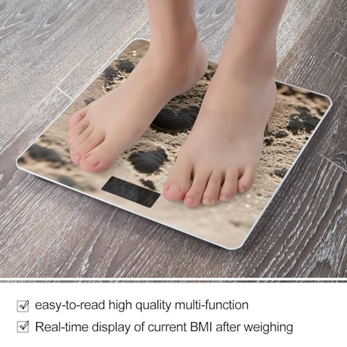 Báscula Digital de Baño con Diseño Huella de Perro miniatura 5