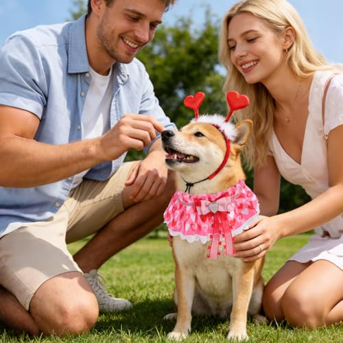 Set Disfraz Valentine para Perros Pequeños y Medianos miniatura 6