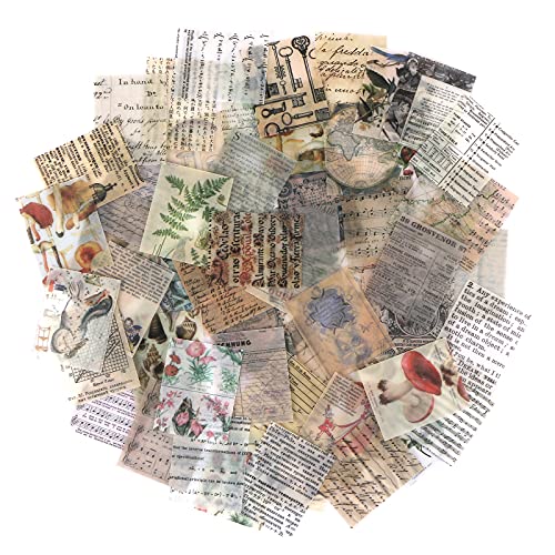 Rolees Vintage Diy Scrapbooking Journaling Supplies Plant Animal Butterfly Bird World Map Letter Newspaper Decorative Antique Vintage Paper Art Craft Embellishment Supplies #TOP2