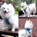 Suredoo Hundegeschirr Kleine Hunde mit Leine, Anti Zug Geschirr Reflektierend Atmungsaktiv Brustgeschirr, Welpengeschirr für Kleine Hunde (Blau Kariert, M, Brust: 34-39cm)