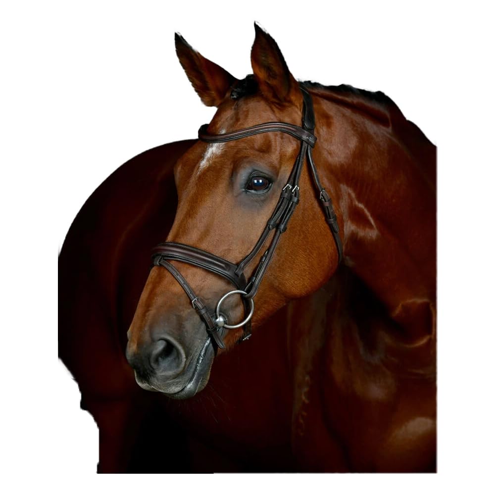 Collegiate ComFiTec Opulux Plain Padded Hanoverian Flash Bridle, Dark Brown, Full