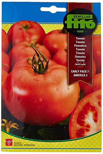 Semillas Fitó 318 - Semillas de Tomate