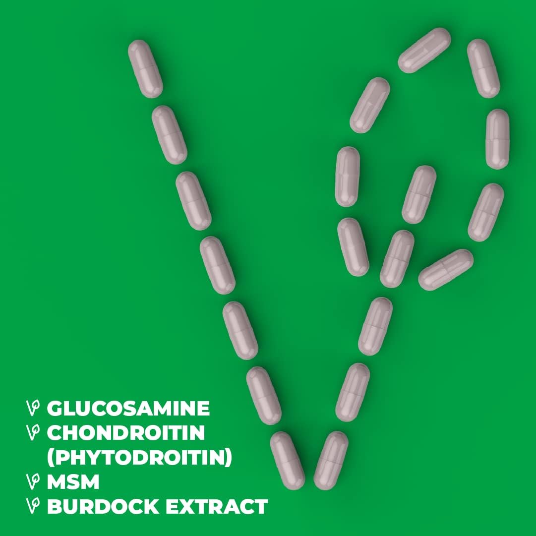 Vegan Glucosamine Chondroitin Phytodroitin MSM & Burdock Root - Joint Support Supplement Without Shellfish. 100% Vegan, Non-GMO & Plant-Based - Joints Health & Inflammation Relief. 90 Capsules : Health & Household