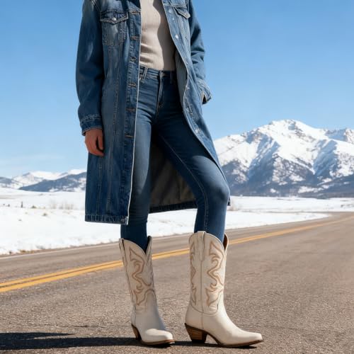 Image of LEHOOR Cowboy Boots Women Embroidered Mid Calf Western Boots Stacked Low Heel Pointed Toe Pull On Cowgirl Boot 4-11 M US