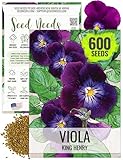 Seed Needs Viola Seeds for Planting King Henry Violas - Heirloom & Open Pollinated Annual Flower Seed to Plant an Outdoor Butterfly Wildflower Garden (1 Pack)