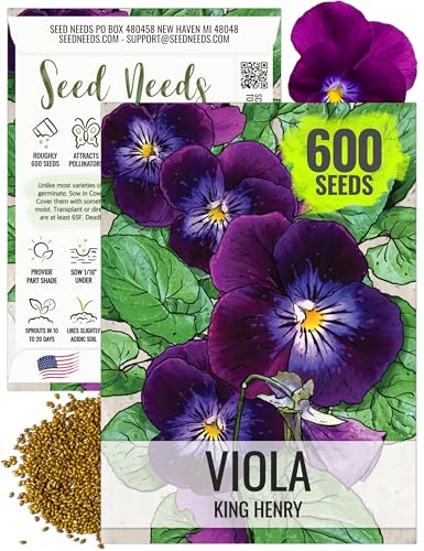 Seed Needs, King Henry Viola Seeds - 600 Heirloom Seeds for Planting Viola cornuta - Dark Colored Blooms for a Gothic Garden, Attracts Pollinators (1 Pack)