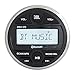 JBL PRV-175 Marine Gauge Hole Mount USB Bluetooth AM/FM Receiver, Remote, Extension Cable, Amplifier, Kit, Wire, USB Adapter, Antenna, 10