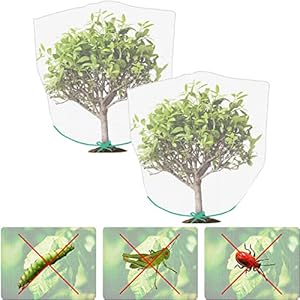 2 Stuks Gewasbeschermingsnet, Kever Vogelnet, Plantenbeschermingsnet voor Ongedierte, Gebruikt om te Voorkomen dat Insecten en Vogels Tuinplanten Aantasten(Wit)
