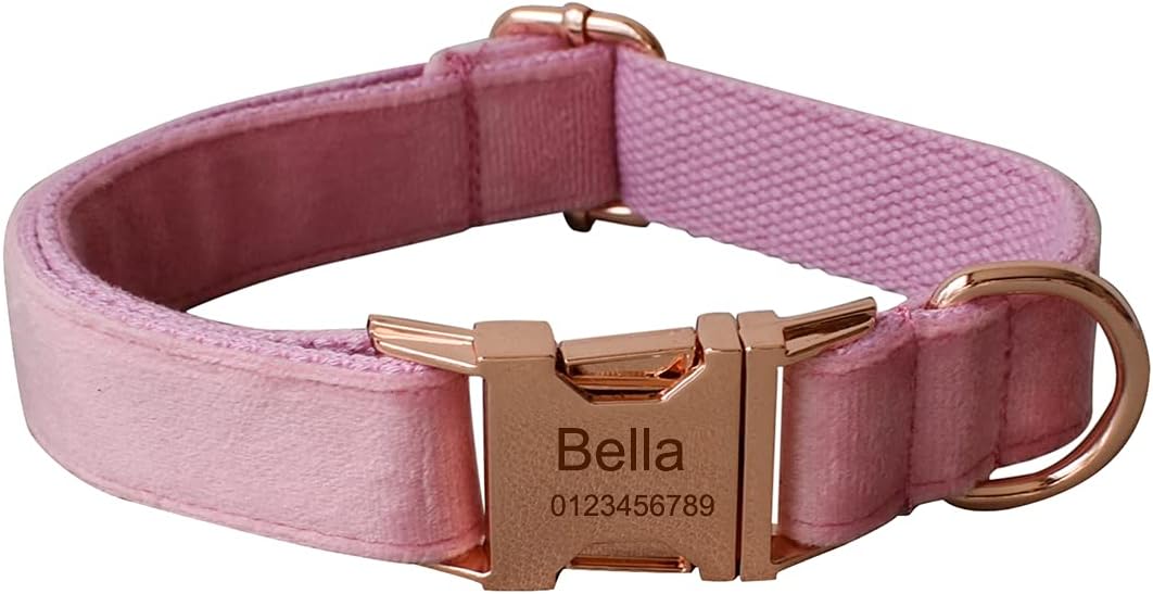 dog collars customized name