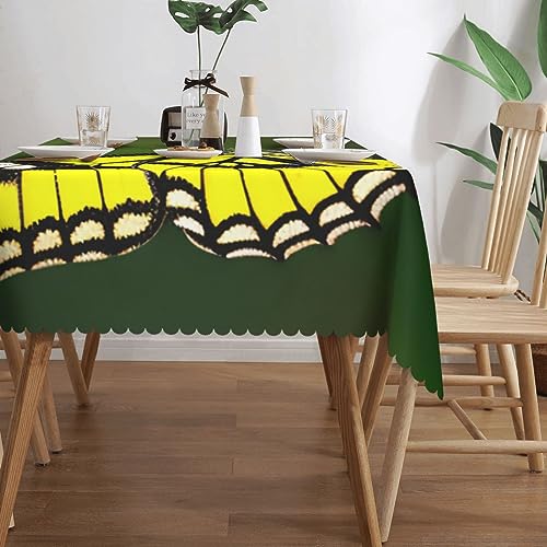 Nappe infroissable papillon : la solution lavable pour table de repas et table basse propre - 4