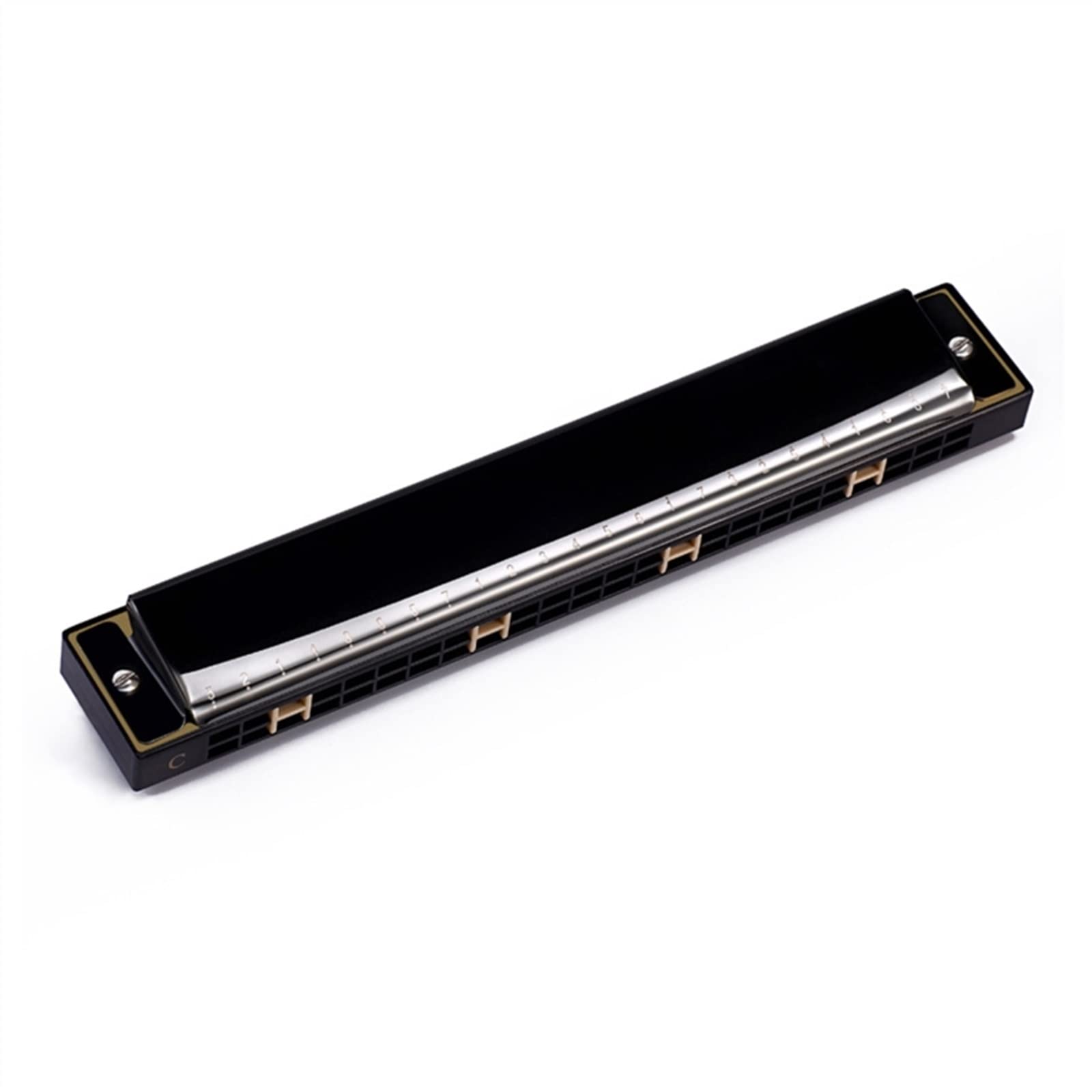 Armonica Professionale A 24 Fori per Principianti Armonica Diatonica A Doppio Tremolo per Regalo Armonica per Principianti (Color : 02)