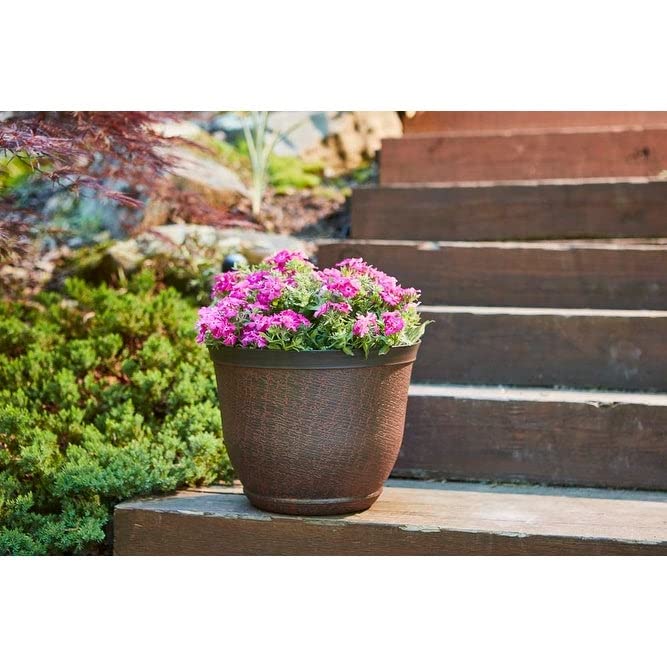 Amazon.com : Southern Patio HDR-012146 Cronus Planter, Hot Coal
