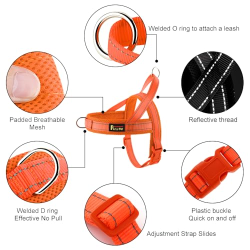 Image of Plutus Pet No Pull Dog Harness for Large Dogs, Breathable Mesh Padded