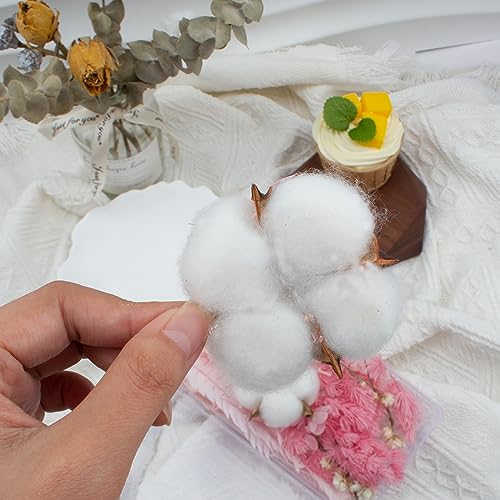 XPEX Fiori Secchi,fiori artificiali per