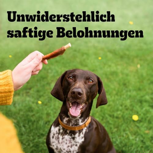 PEDIGREE Wraps Hundesnacks Huhn, 8x60g