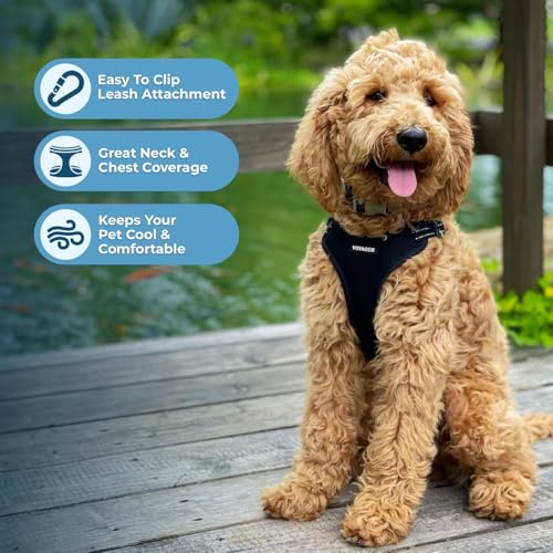Voyager Pettorina per Cani Regolabile con Strisce Riflettenti by Best Pet Supplies - Resistente e Traspirante, con Anello a D per Guinzaglio, Nero, M