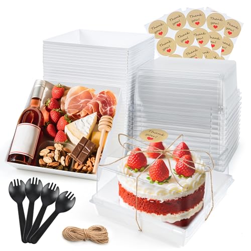 20 Pack Small Cake Boxes Charcuterie Boxes Mini Cake Containers With Lids For 4-6-inch Cake Pudding Sandwich Pie Bakery Dessert(White 7x7x4 inch) White-20Pack