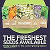 Organic Herbal Tea Seeds Variety Pack - 5 Individu... #2