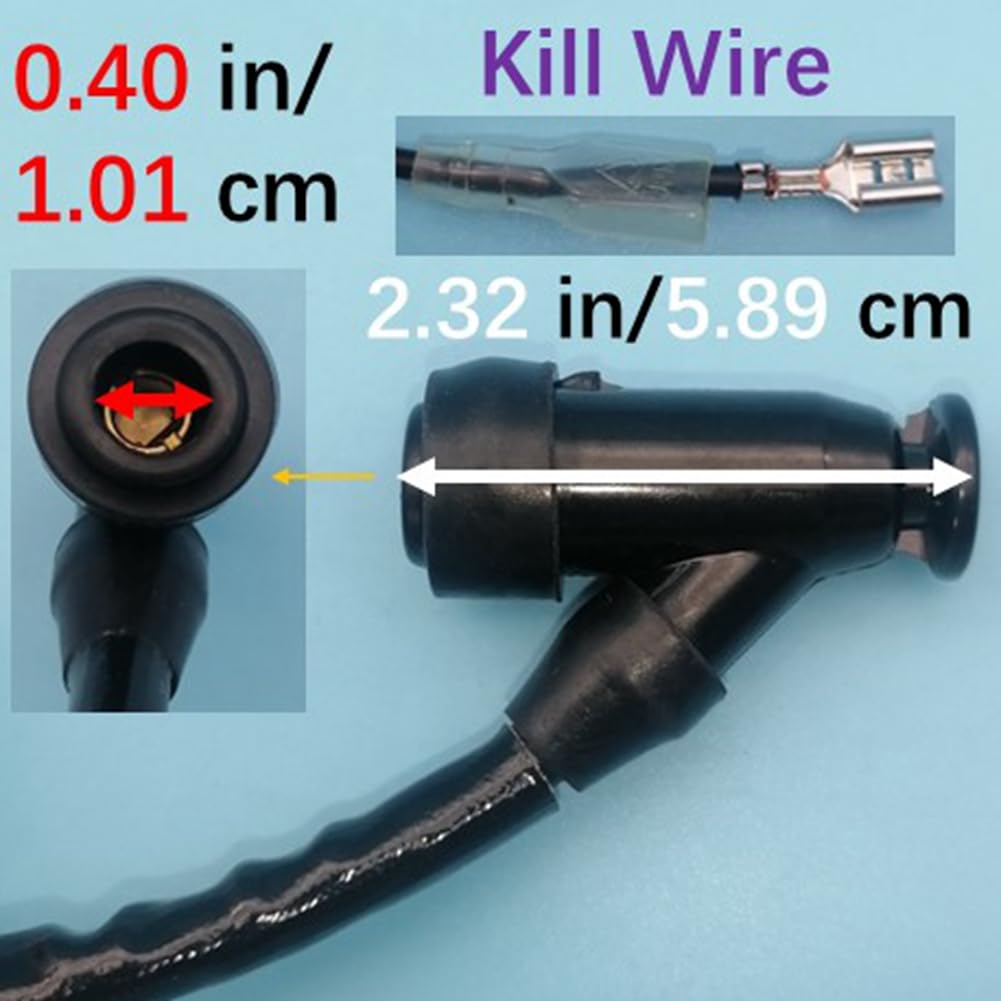 N.イルミナまとめ売り AZONE INTERNATIONAL::Luminous Street::キャラクター-商品詳細