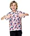 July 4th Shirt for Boy Ice Cream American Flag Polo Short Sleeve Patriotic Golf Tee Shirts 11-12 Years