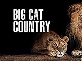  Big Cat Country - Season 1