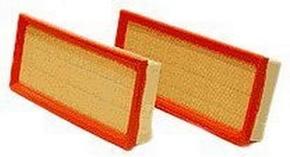 WIX Air Filter Panel