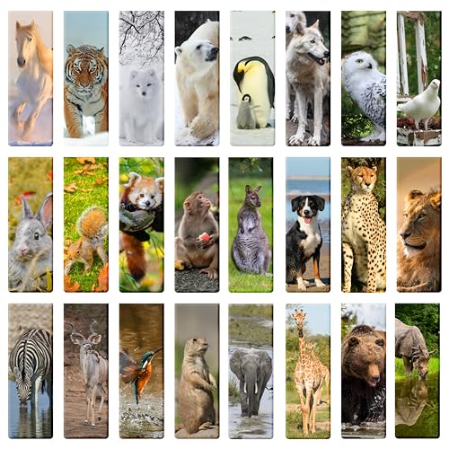 24 Stück lesezeichen magnetische kind Lesezeichen-Clips, Schule-Zubehör, Einschulung-Geschenk