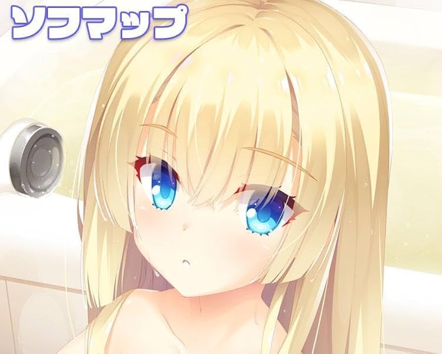 Amazon.co.jp: 白雪乃愛 b2タペストリー ソフマップ特典 : おもちゃ