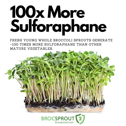 Brocsprout2 - Unmatched Sulforaphane Yield - Unique Whole Broccoli Sprout Capsule Containing Myrosinase & Glucoraphanin - Antioxidant, Detox, Immune Response Support. Made In Usa #TOP3