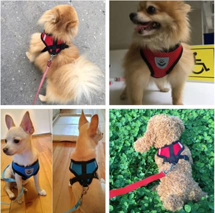 coleira cachorros peitoral cães e gatos vermelho G