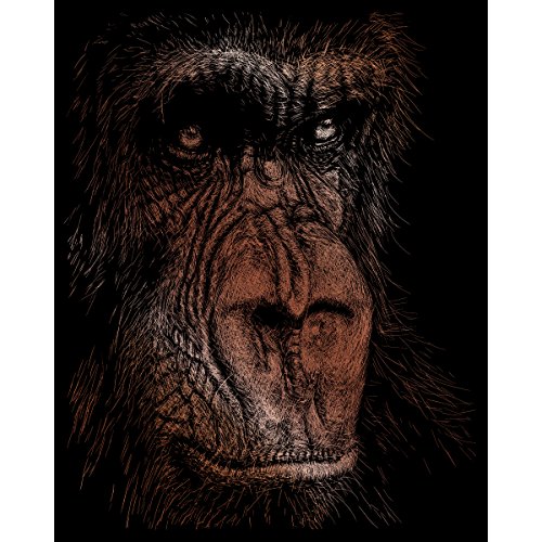 Royal Brush Copper Foil Engraving Art Kit 8"X10", The Wise Simian #TOP28