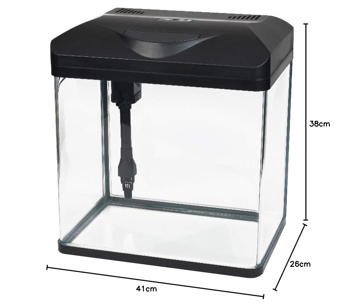 AMTRA Laguna LED 40-30 Liter Glasaquarium mit Deckel, LED-Beleuchtung und Filter inklusive, 38x26x41 cm