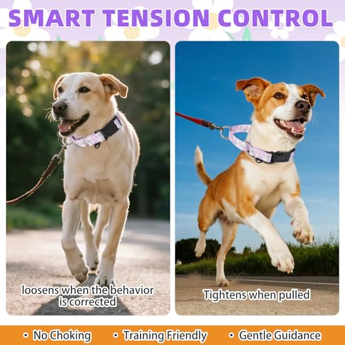 Image of Martingale Collar for Dogs for Small Medium Large Dogs, Soft Padded Nylon No Pull Dog Collar with Buckle, Adjustable No Slip Heavy Duty Durable Puppy Training Collar for Boys Girls, Purple M